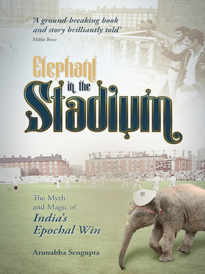cover image of Elephant in the Stadium
